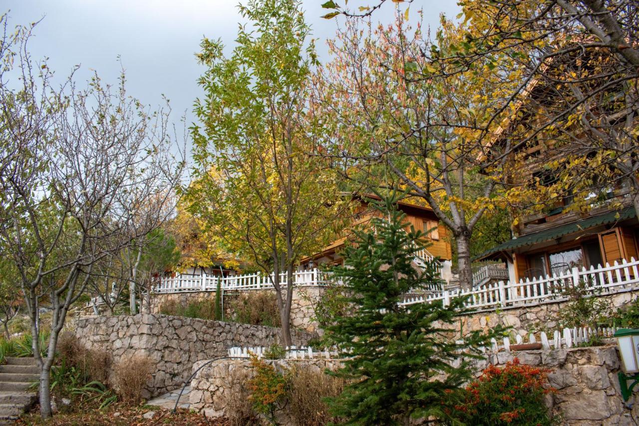 Dajti Paradise Resort Extérieur photo