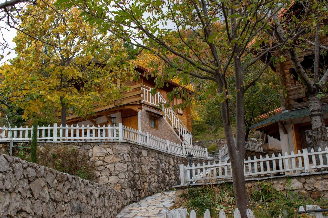 Dajti Paradise Resort Extérieur photo